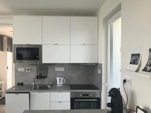 Фотография гостевого дома Apartmán Polička