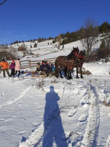 Фотография гостевого дома Cabana Pensiunea adi si mia cu pastravarie