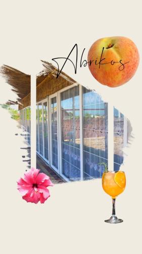 Фотография гостиницы Абрикос