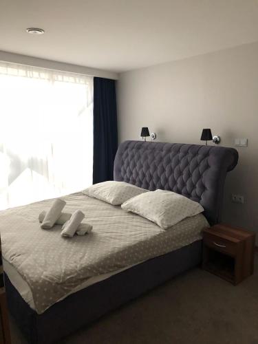 Фотография мини отеля Black Gold Center