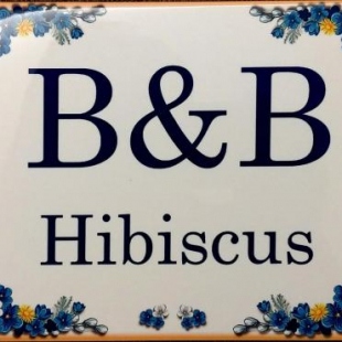 Фотография мини отеля B&B Hibiscus