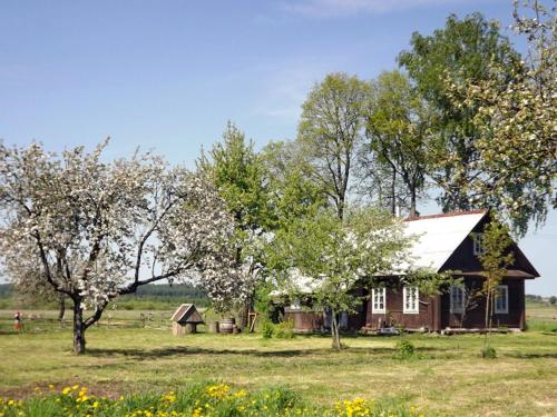 Фотографии гостевого дома 
            Застенок Скриплево