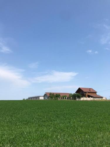 Фотография мини отеля Шантамбала