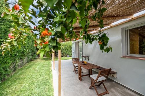 Фотография гостевого дома Casa Panda