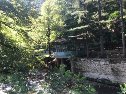 Фотография гостиницы Сулори