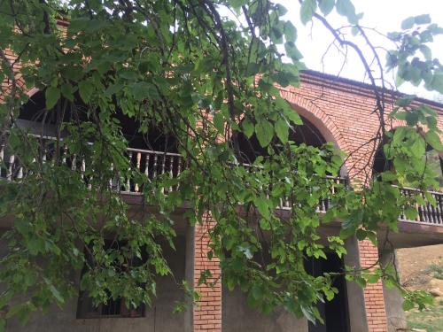 Фотография базы отдыха Mtskheta Camps