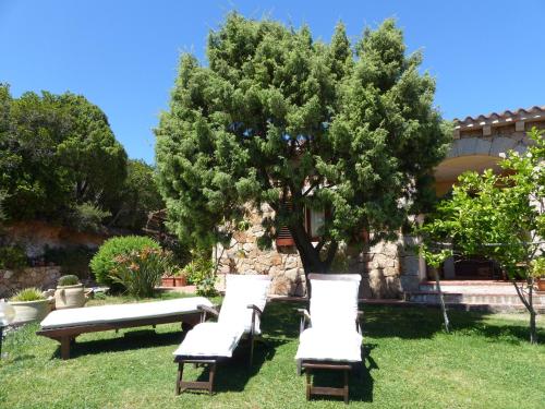 Фотография мини отеля B&B La Murichessa