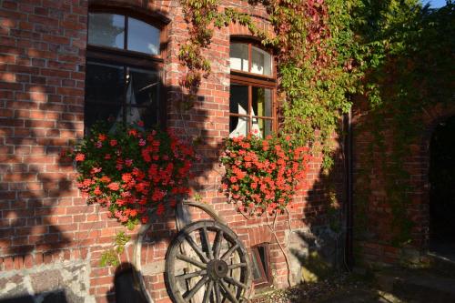 Фотография базы отдыха Avalon Połchowo