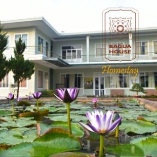 Фотография хостела Bagua House - Homestay