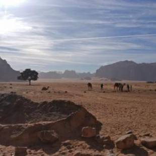 Фотографии кемпинга 
            Wadi Rum Desert Heart Camp