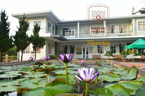 Фотографии хостела 
            Bagua House - Homestay