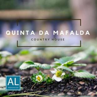 Фотографии гостевого дома 
            Quinta da Mafalda