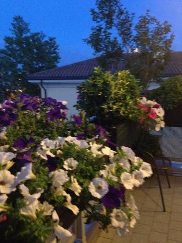 Фотография мини отеля B&B Pitstop