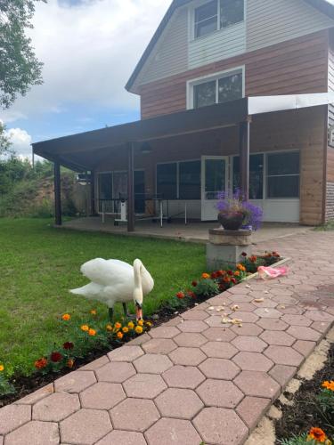 Фотография гостевого дома Южная Гавань