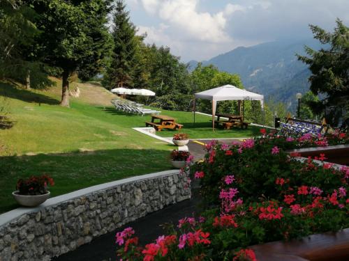 Фотографии гостиницы 
            Hotel Trentino