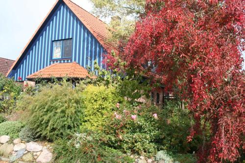 Фотография гостевого дома Blaues Haus