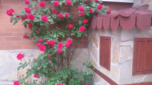 Фотография гостевого дома Vesi's Rooms