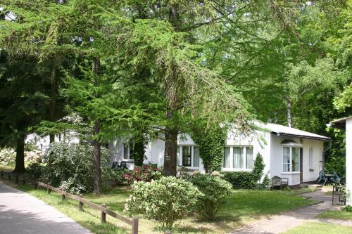 Фотография гостевого дома Ferienresort Damerow