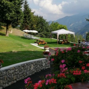 Фотография гостиницы Hotel Trentino