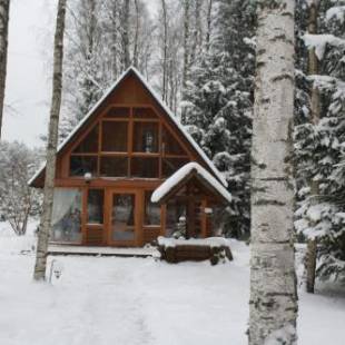 Фотографии гостевого дома 
            Holiday Home Bērzlejas