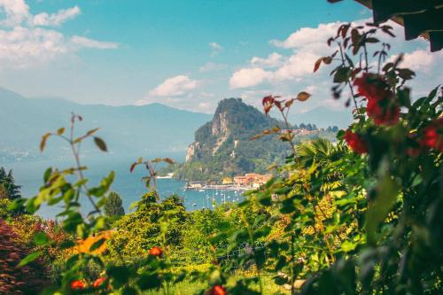 Фотография гостевого дома Casa Elena