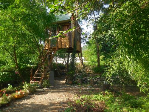 Фотография гостевого дома Robinson Crusoe