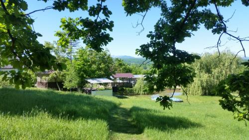 Фотография гостевого дома ШирванкаLIFE