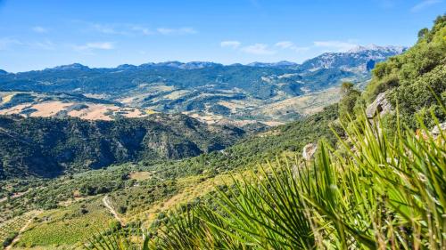 Фотография гостиницы Casas Rurales Los Algarrobales