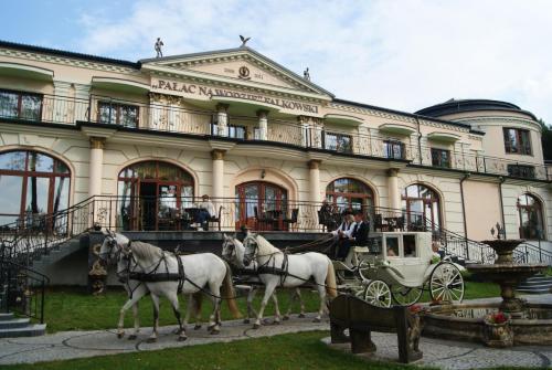 Фотография гостиницы Pałac na wodzie Falkowski Medical & SPA & Conference