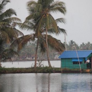 Фотография мини отеля Gramam Homestay, Cochin