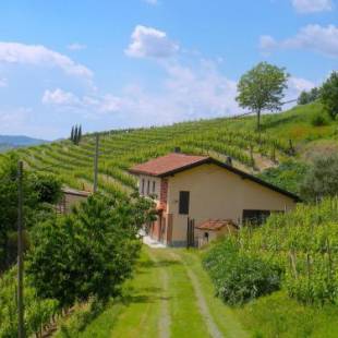 Фотографии гостевого дома 
            Cascina tra i vigneti a Nizza Monferrato