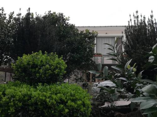 Фотография мини отеля Hillside