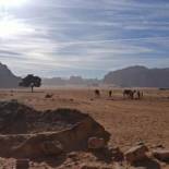 Фотография кемпинга Wadi Rum Desert Heart Camp