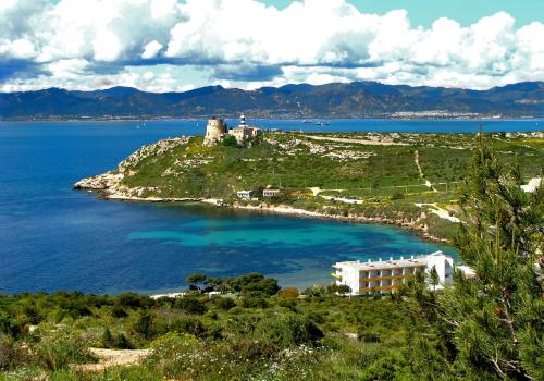 Фотография гостиницы Hotel Calamosca