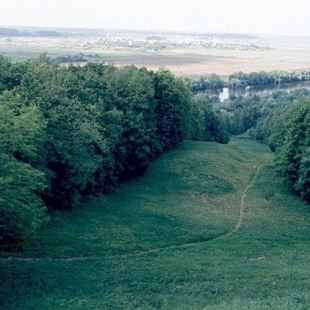 Фотография достопримечательности Городище Боровский курган