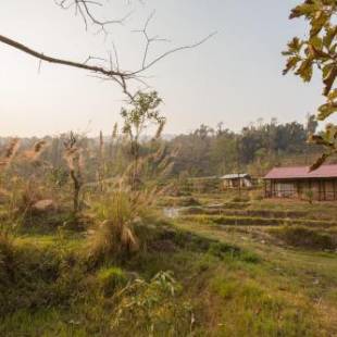 Фотографии базы отдыха 
            PaliGhar Farmstay