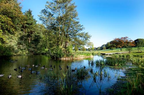 Фотография мини отеля Lancaster University