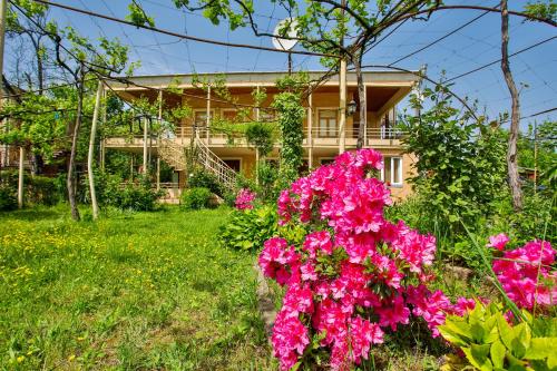 Фотография мини отеля Zaali's wine cellar