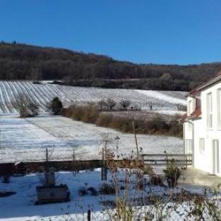 Фотографии мини отеля 
            Aux vignes