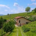 Фотография гостевого дома Cascina tra i vigneti a Nizza Monferrato