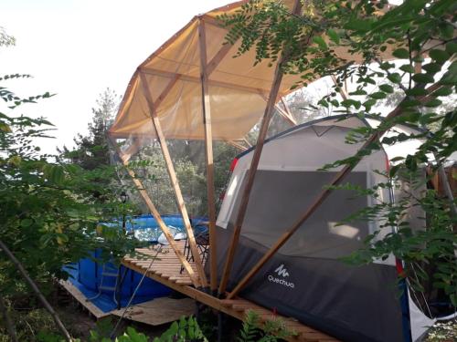 Фотография базы отдыха В Шепси