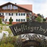 Фотография гостиницы Haflingerhof