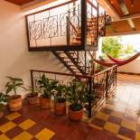 Фотография хостела Havana Hostel Cali & Dance School