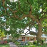Фотография мини отеля Montagu Vines Guesthouse