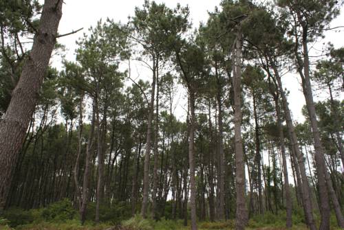 Фотография гостиницы Iberia