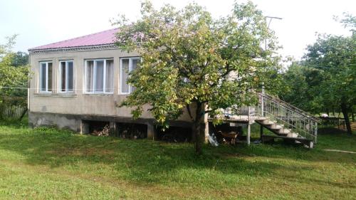 Фотография гостевого дома Forest Guest House