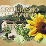 Фотография базы отдыха Agriturismo Cà Sonino