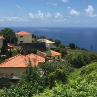 Фотография гостевого дома Madeira Wine Cottages