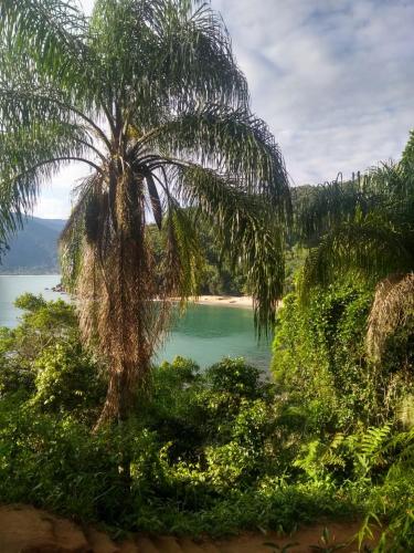 Фотографии хостела 
            Ubatuba Surf Hostel