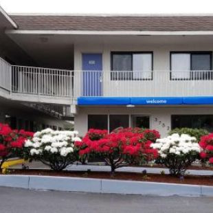 Фотография гостиницы Motel 6-Springfield, OR - Eugene North